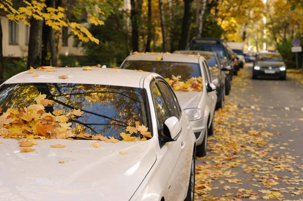 istock yellow fallen autumn leaves by car - autumn leaf fall 1351831437
