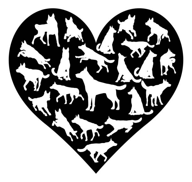 deutsches shepard elsässisches hundeherzkonzept - golden retriever retriever white background isolated stock-grafiken, -clipart, -cartoons und -symbole