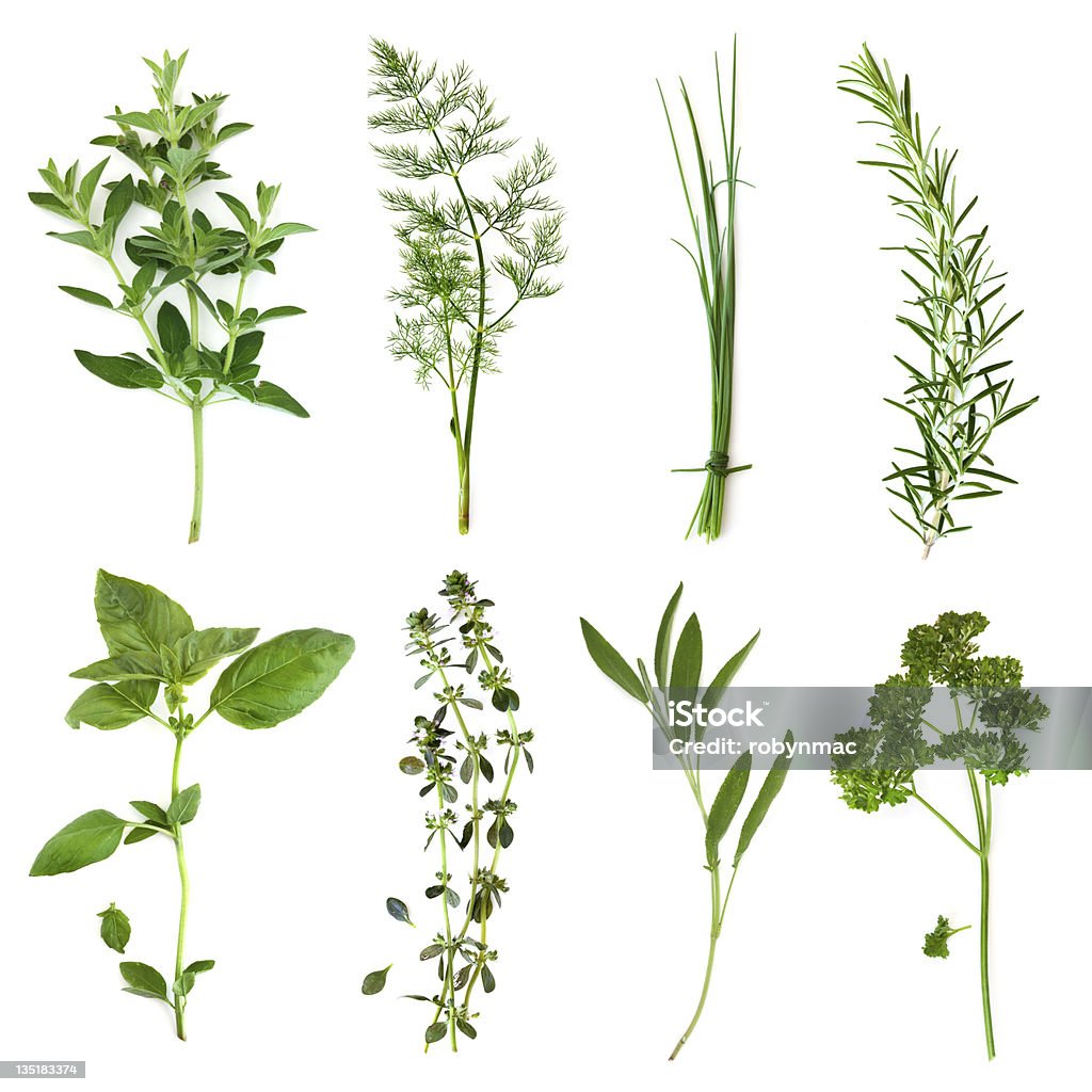 Picture of right different type of herbs Herbs collection, isolated on white.  Includes oregano, dill, chives, rosemary, basil, thyme, sage and curly parsley.  More herbs and spices:   http://robynm.smugmug.com/photos/265712091_f6Mdn-L.jpg Herb Stock Photo