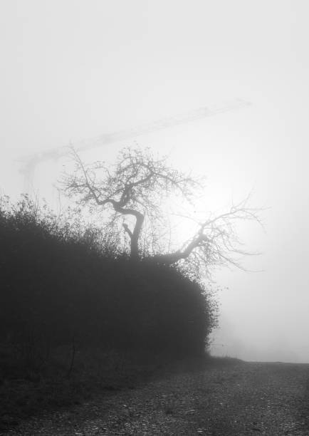 istock A foggy and gloomy day 1351836173