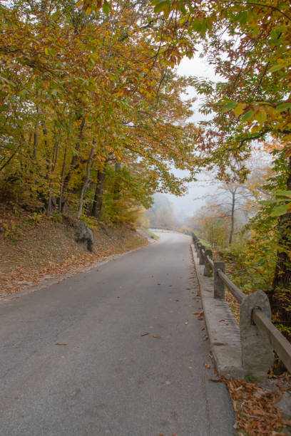 istock Autumn in the swiss alps. 1351836610