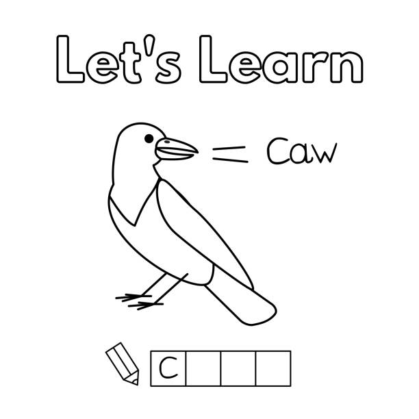 Learning Crow 430+ How To Draw Crows Cartoons Stock Photos, Pictures & Royalty-Free ...