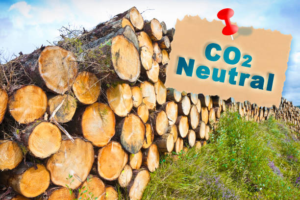 CO2 Neutral concept with text against wooden trunks stacked on one another