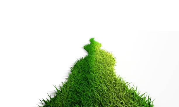 istock Abstract 3d green grass way. Ecology concept 1351839614