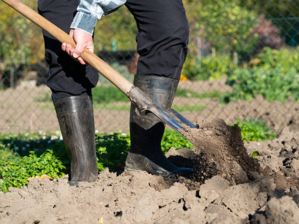istock Man digging the garden soil with spade, detail 1351839664