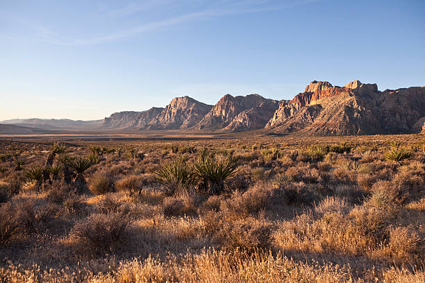 istock Red Rock Nevada in Warm Early Morning Light 135183973