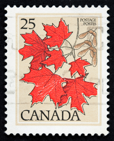 red maple leaves on a Canadian stamp