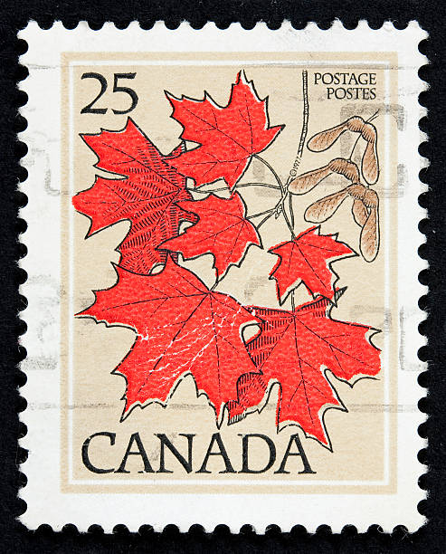 A Canadian stamp with red maple leaves stock photo