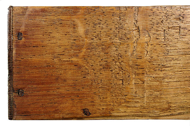 istock Detail Of Drawer Side From C17th Oak Chest 135184201