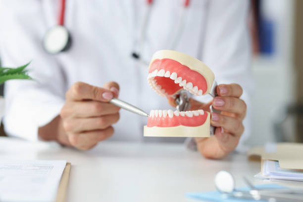 istock Dentist shows problem areas in teeth on artificial jaw closeup 1351845364