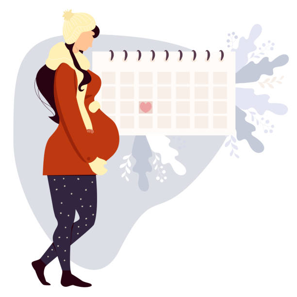 stockillustraties, clipart, cartoons en iconen met happy pregnant girl in winter clothes looks at calendar. full-length cute woman hugs her belly and stands by birth planner. vector illustration. girl and woman health concept - pregnant count