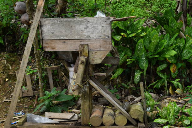 istock Traditional tool for chopping coffee beans from fruit and skin in Indonesia 1351846975