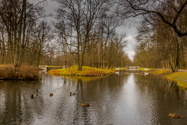 istock Cloudy autumn weather in Alexandrovsky Park 1351847706