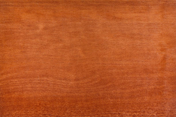 istock Texture of arariba wood 1351848517