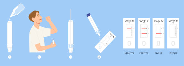 ilustrações de stock, clip art, desenhos animados e ícones de rapid antigen test kit procedure and result. how to use self atk covid-19 test. home use or professional use atk demonstration infographic. - cavidade nasal