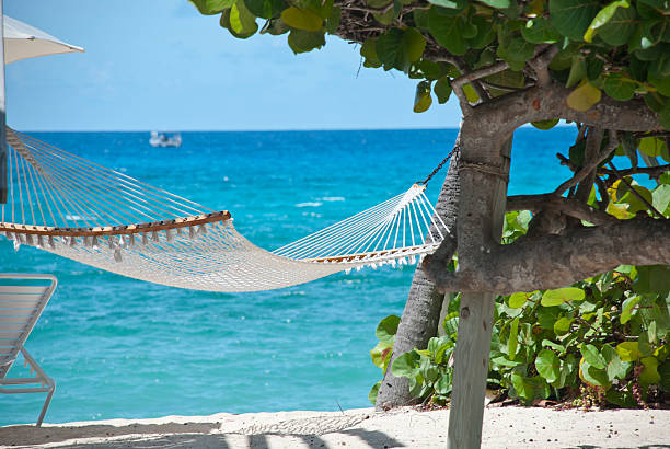 istock Hammock and blue water on Grand Cayman beach 135185305