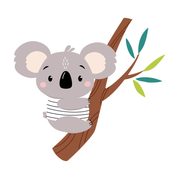 медведь коала как австралийское животное, сидящего на ветви эвкалипта векторная иллюстрация - koala stock illustrations