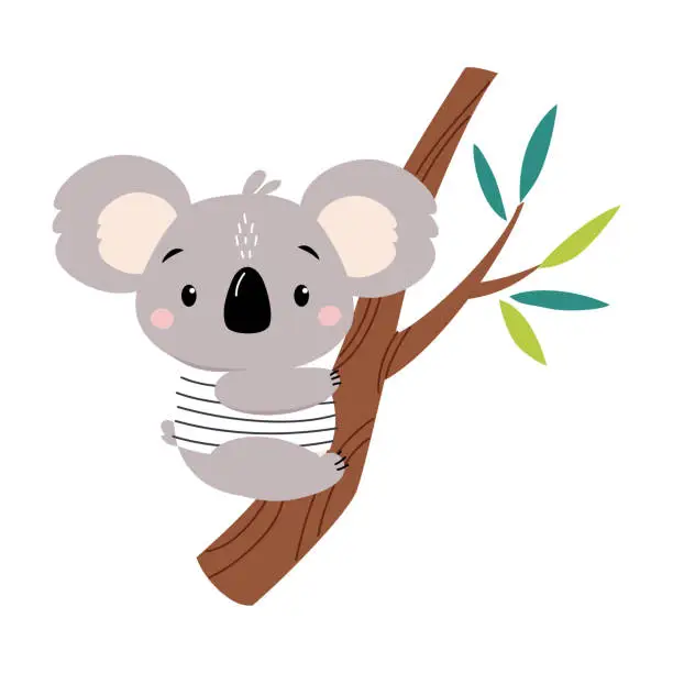 Vector illustration of Koala Bear as Australian Animal Sitting on Eucalyptus Branch Vector Illustration