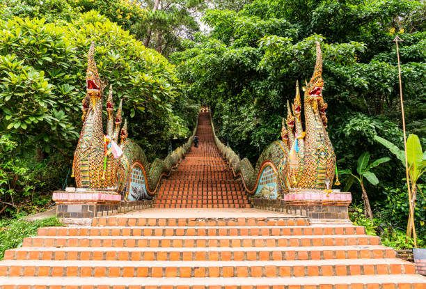 naga stairway at the entrance of wat phra that doi suthep, chiangmai thailand - suthep imagens e fotografias de stock