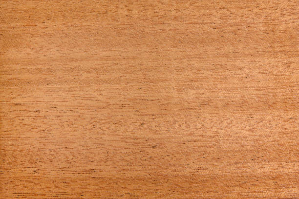 istock Texture of mahagoni wood 1351858294