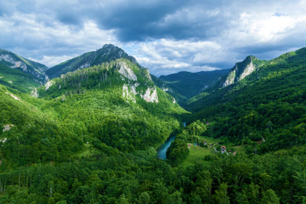 istock Canyon River Tara in Montenegro 1351862919
