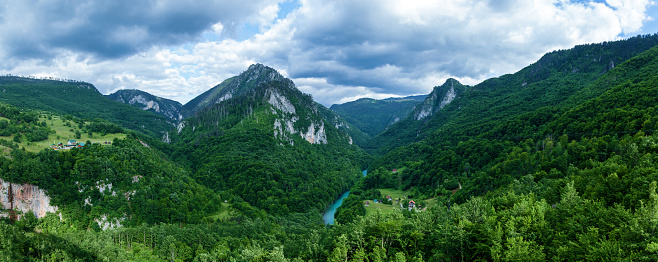 Panorama mountain River Tara Turquoise and Forest on the slopes of the mountains in Montenegro. The largest canyon in Europe in the Durmitor National Park