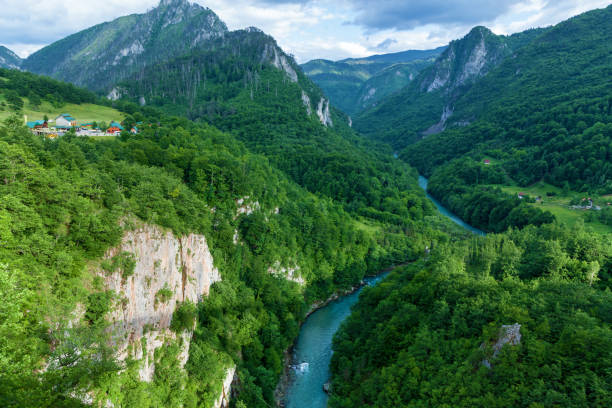 istock Canyon River Tara in Montenegro 1351865272
