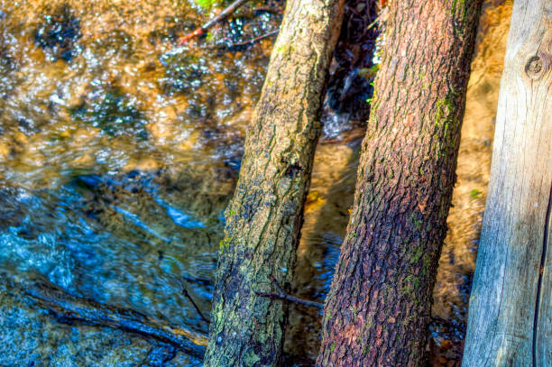 istock Cold mountain creek passing trough  natural environment. 1351870192