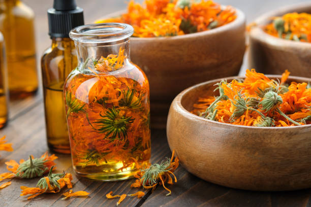Bottles of calendula essential oil or infusion, wooden bowls and mortar of dried healthy calendula marigold flowers. Alternative herbal medicine. Aromatherapy. stock photo