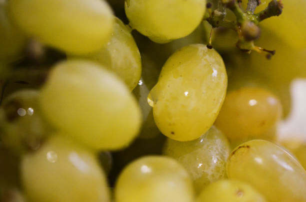 Macro photo of green grapes