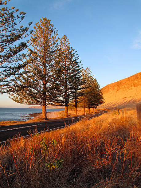 Lady Bay Normanville South Australia