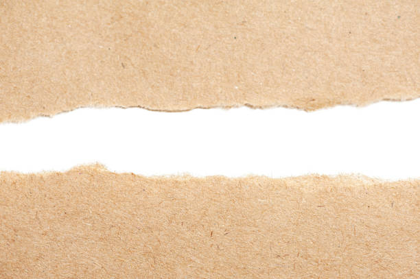 istock Two torn pieces of craft paper on a white background with space for text. 1351878714