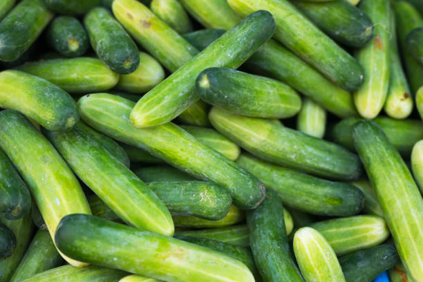 Many stacked small thai cucumbers on market