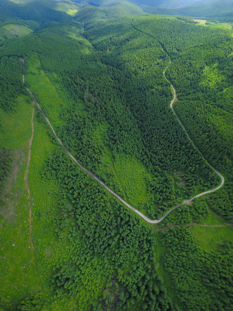 istock Aerial drone view above Cindrel Mountains 1351880589