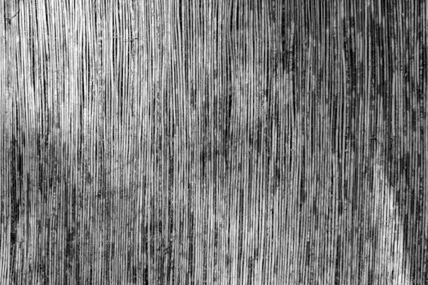 istock detail of harmonic bamboo background 1351882991