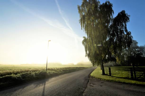 istock Crossroad in Dawn 1351886943