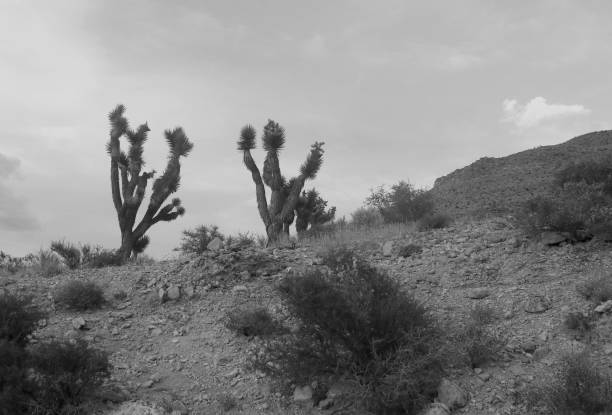 istock Red Rock Canyon Scenic Byway 1351887098