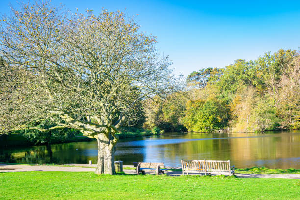 istock City park in The Hague 1351888659