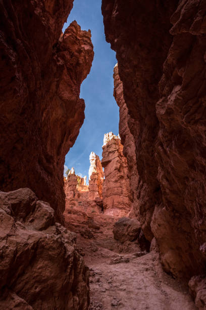 istock Iconic Wall Street gorge in the Bryce Canyon valley in Utah 1351889618