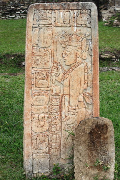 Mayan art stela with hieroglyphics in Tonina. Chiapas, Mexico Mayan art stela with hieroglyphics in Tonina. Chiapas, Mexico architectural stele stock pictures, royalty-free photos & images