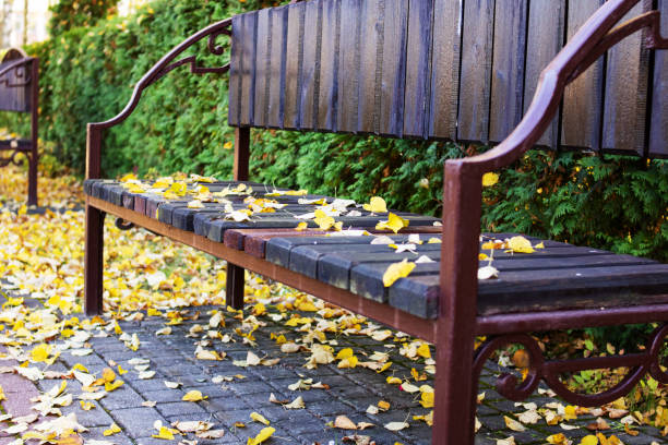 istock Yellow autumn leaves on a park bench 1351889731