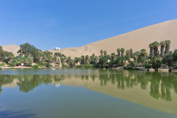 istock Huacachina oasis, Ica, Peru, South America 1351889949