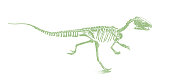 istock Dinosaur skeleton from the Jurassic period 1351890092