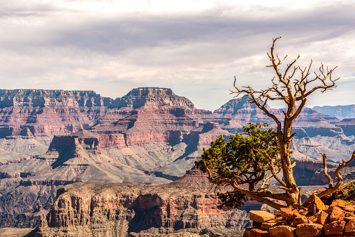 Scenic view on the Grand Canyon from South Kaibab Trail, Arizona, USA