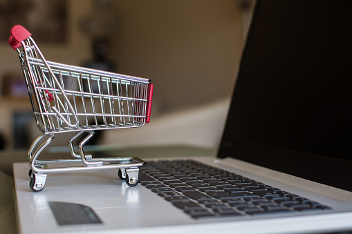 Online shopping. Internet Shopping Concept. Shopping From Home