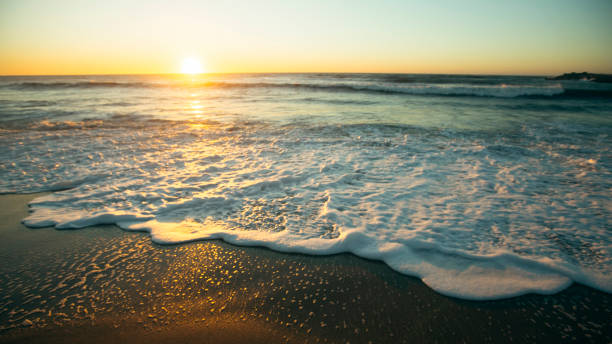 istock A beautiful sunset on the Atlantic coast with foamy surf. 1351891078