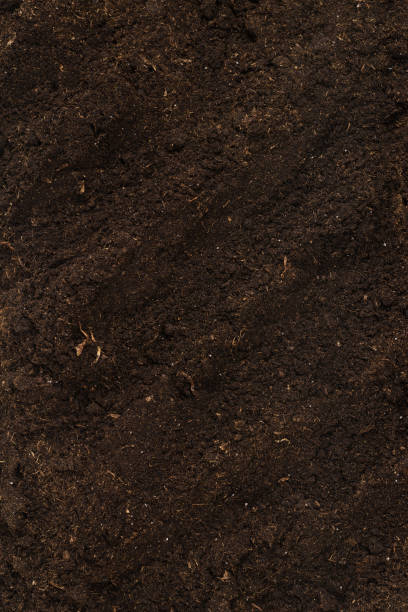 istock Soil for plant isolated on white background. 1351891344