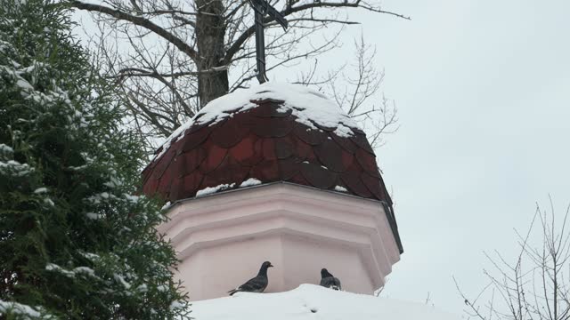 Pigeons are under a dome of a small church in a winter park
