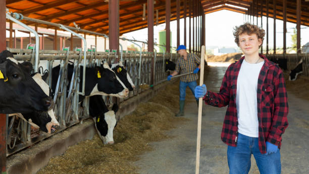 istock Confident teen boy standing with tool near stall with cows 1351896703