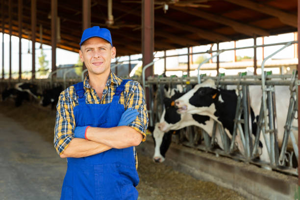 istock Farmer standing in cowhouse 1351896705